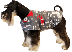 Mini Schnauzer In Polar Fleece Dog n Bone Dog Coat