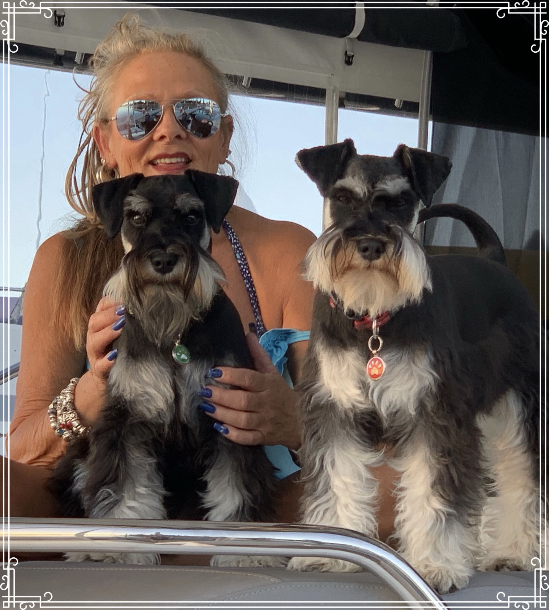 Artist Gillian Jane Mason with Port & Starboard Mini Schnauzers