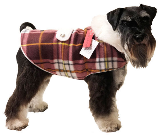 Mini Schnauzer in Plum Plaid Polar Fleece Dog Jacket