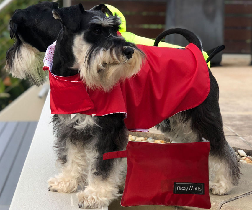 Port & Starboard Mini Schnauzers In Spray Jackets