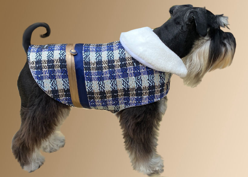 Mini Schnauzer in Gold Thread Blue Plaid Dog Coat