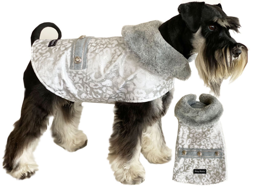 Starboard in grey & white metalic leopard print dog coat