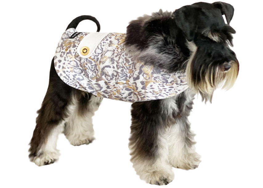 Starboard in gold metallic leopard print dog coat