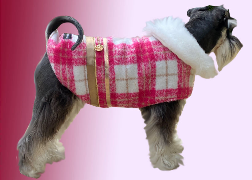 Mini Schnauzer in hot pink & cream plaid wool dogs coat